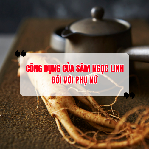 Công Dụng Của Sâm Ngọc Linh Đối Với Phụ Nữ